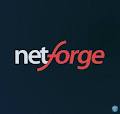 Netforge image 2