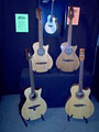 Ochoteco Guitars image 2