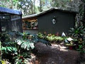 Pine Grove Bromeliad Nursery image 5