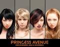 Princess Avenue logo