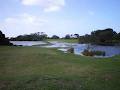 Queenscliff Golf Club image 3