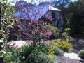 Riddlesdown Cottage image 6