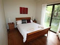 Springbrook Accommodation - Ferntree Grove image 5