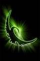 Swan Design logo