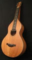 Tarrant Guitars image 5