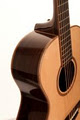 Tarrant Guitars logo