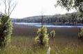 Thirlmere Lakes National Park logo