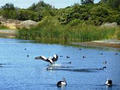 Watershed Wetlands and Trails image 4