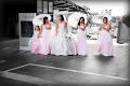 Whitsundays Weddings - Total Weddings image 3