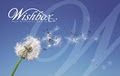 Wishbox Co logo