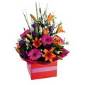 Woodvale Florist image 1