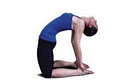 YOGA PLUS image 4