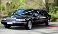 A Red Carpet Limousines logo
