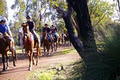 Academy Equestrian logo