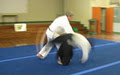 Aikido in Ballina logo