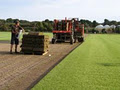 Anco Seed and Turf image 4