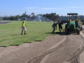 Anco Seed and Turf image 6