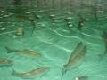 Aquamatic Irrigation image 1