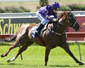 Ascot Bloodstock logo