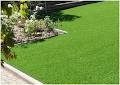 Austalian Lawn Wholesalers image 4