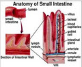 Autism Naturopath image 3