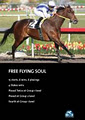 BC3 Thoroughbreds image 5