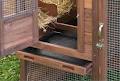 Backyard Chicken Coops Pty Ltd image 5