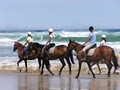 Bellarine Horse Riding Centre image 2