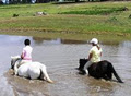 Bellarine Horse Riding Centre image 3