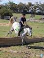 Beltain Park Riding Centre image 3