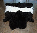 Bonnibelt Belted Galloway Stud image 3