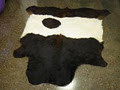 Bonnibelt Belted Galloway Stud image 4