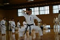 Brisbane Goju Karate image 2