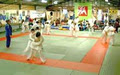 Budokan Judo Club Australia image 2