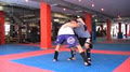 Bulli MMA image 3