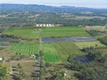 Caboolture Turf logo