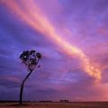 Chapman's of Castlemaine / Photos Australia image 5