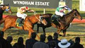 Chatham Thoroughbreds Pty Ltd image 1