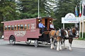 Clydesdale Dining logo