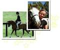 Coast Kids Horse Riding image 4