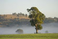 Coolmore Australia image 2