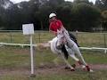 Corinda Horse & Pony Club logo