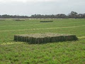 Currency Creek Fine Fodder image 1