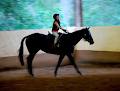 Dalson Park Indoor Equestrian Centre image 2