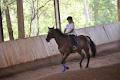 Dalson Park Indoor Equestrian Centre image 4