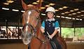 Dalson Park Indoor Equestrian Centre image 5