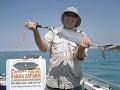 Darren's Northern Territory Barra Safaris & Vanderlin Island Sportfishing logo