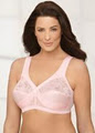 Delightful Delicates Bra Company image 4