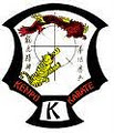 Dragon & Tiger Kenpo Arts image 3