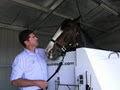 Equine Spa Therapy Australia image 3